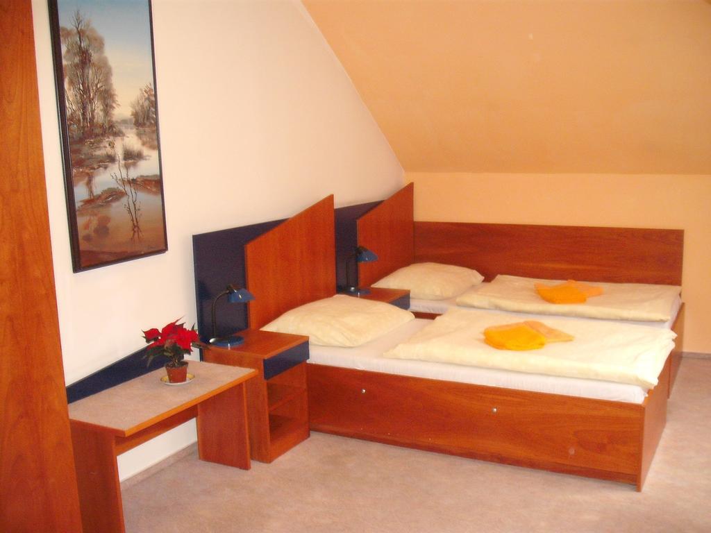 Hotel Forman Mladá Boleslav 部屋 写真
